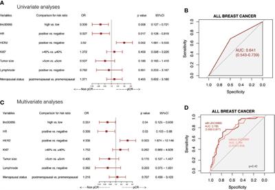 Linc00665 Can Predict the Response to Cisplatin-Paclitaxel Neoadjuvant Chemotherapy for Breast Cancer Patients